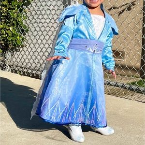 Elsa Frozen Costume
